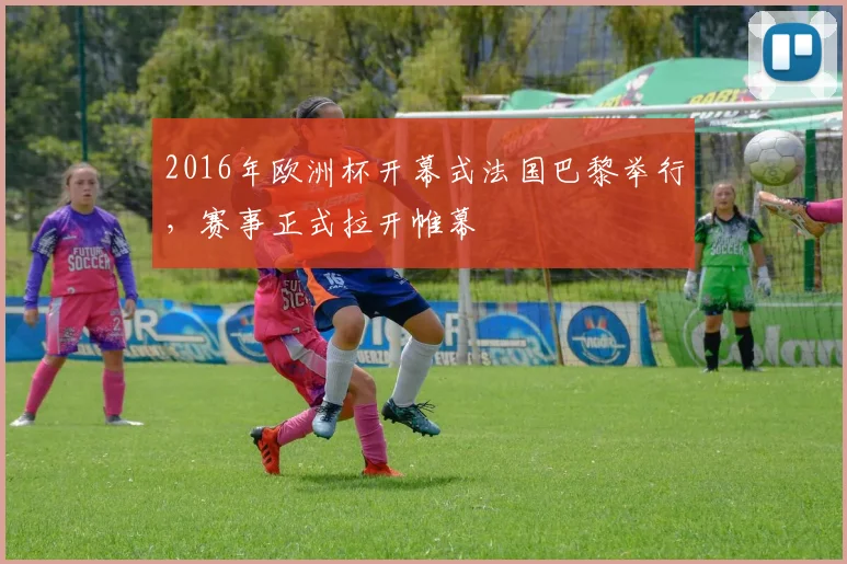 2016年欧洲杯开幕式法国巴黎举行，赛事正式拉开帷幕