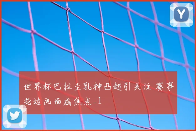 世界杯巴拉圭乳神凸起引关注 赛事花边画面成焦点_1